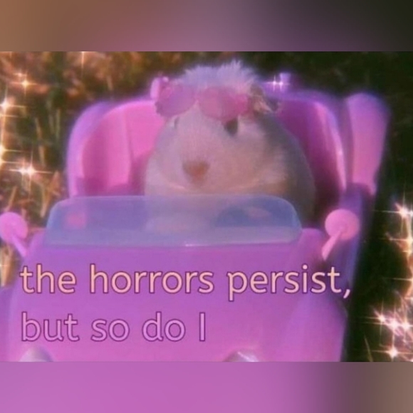 Meet your Posher, Devin - Picture 1 of 1